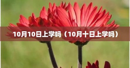 10月10日上学吗（10月十日上学吗）