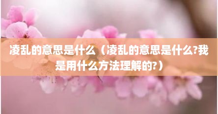 凌乱的意思是什么（凌乱的意思是什么?我是用什么方法理解的?）