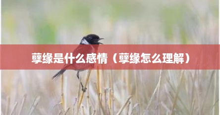 孽缘是什么感情（孽缘怎么理解）