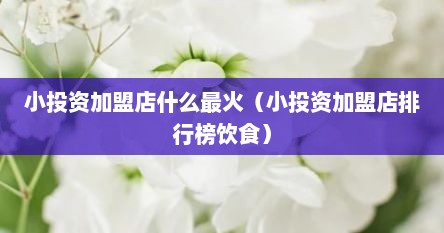 小投资加盟店什么最火（小投资加盟店排行榜饮食）