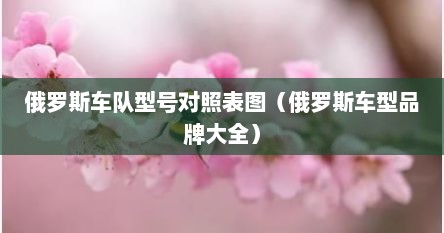 俄罗斯车队型号对照表图（俄罗斯车型品牌大全）