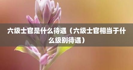 六级士官是什么待遇（六级士官相当于什么级别待遇）