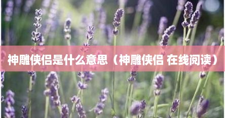 神雕侠侣是什么意思（神雕侠侣 在线阅读）