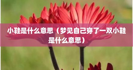 小鞋是什么意思（梦见自己穿了一双小鞋是什么意思）