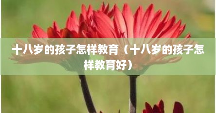 十八岁的孩子怎样教育（十八岁的孩子怎样教育好）