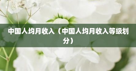 中国人均月收入（中国人均月收入寺级划分）