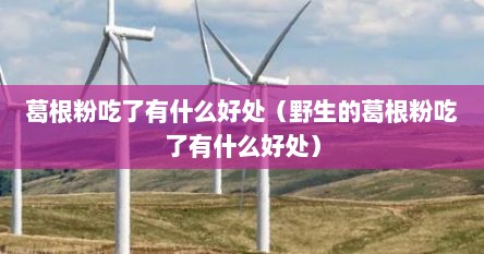 葛根粉吃了有什么好处（野生的葛根粉吃了有什么好处）