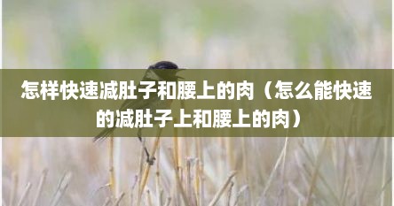 怎样快速减肚子和腰上的肉（怎么能快速的减肚子上和腰上的肉）