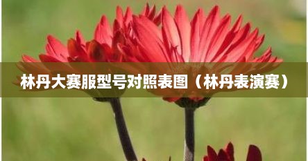 林丹大赛服型号对照表图（林丹表演赛）