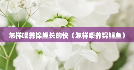 怎样喂养锦鲤长的快（怎样喂养锦鲤鱼）