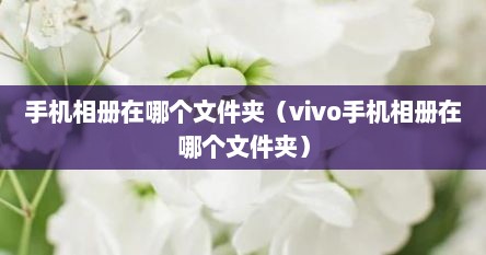 手机相册在哪个文件夹（vivo手机相册在哪个文件夹）