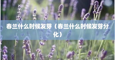 春兰什么时候发芽（春兰什么时候发芽分化）