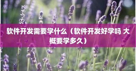 软件开发需要学什么（软件开发好学吗 大概要学多久）