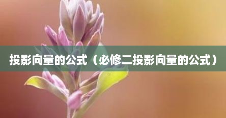 投影向量的公式（必修二投影向量的公式）