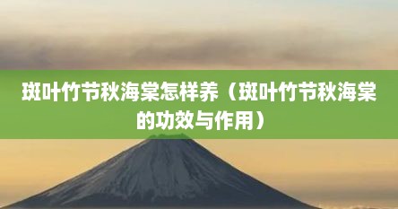 斑叶竹节秋海棠怎样养（斑叶竹节秋海棠的功效与作用）