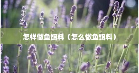 怎样做鱼饵料（怎么做鱼饵料）