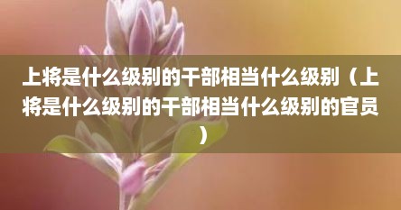 上将是什么级别的干部相当什么级别（上将是什么级别的干部相当什么级别的官员）
