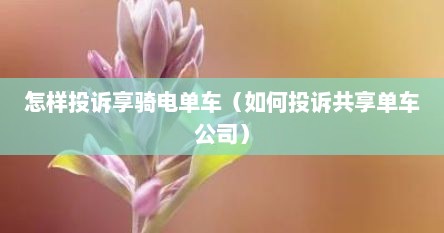 怎样投诉享骑电单车（如何投诉共享单车公司）