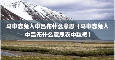 马中赤兔人中吕布什么意思（马中赤兔人中吕布什么意思衣中秋裤）