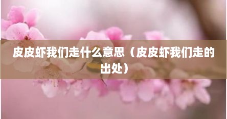 皮皮虾我们走什么意思（皮皮虾我们走的出处）