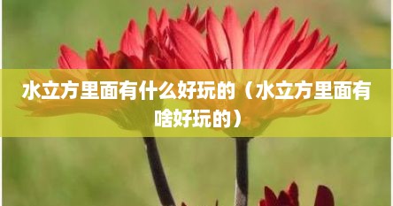 水立方里面有什么好玩的（水立方里面有啥好玩的）