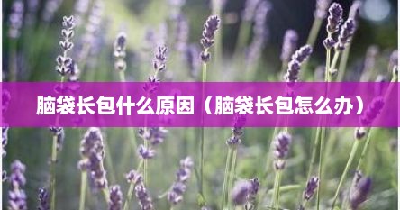 脑袋长包什么原因（脑袋长包怎么办）