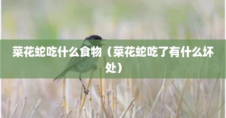 菜花蛇吃什么食物（菜花蛇吃了有什么坏处）