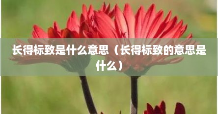 长得标致是什么意思（长得标致的意思是什么）