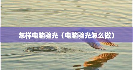 怎样电脑验光（电脑验光怎么做）