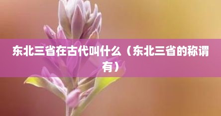 东北三省在古代叫什么（东北三省的称谓有）