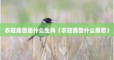 衣冠禽兽是什么生肖（衣冠禽兽什么意思）
