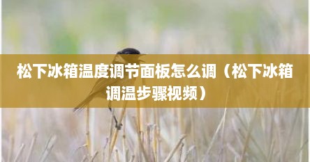松下冰箱温度调节面板怎么调（松下冰箱调温步骤视频）