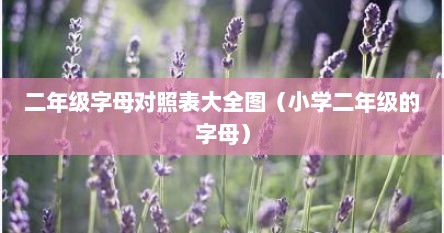 二年级字母对照表大全图（小学二年级的字母）