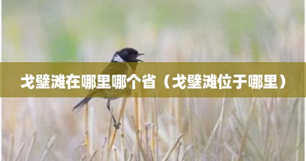 戈壁滩在哪里哪个省（戈壁滩位于哪里）