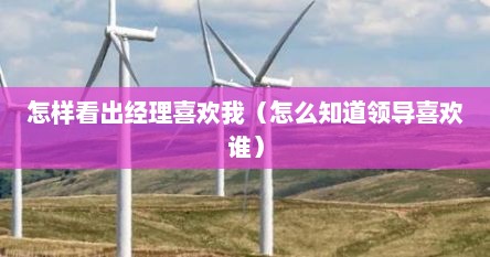 怎样看出经理喜欢我（怎么知道领导喜欢谁）