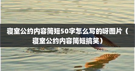 寝室公约内容简短50字怎么写的呀图片（寝室公约内容简短搞笑）
