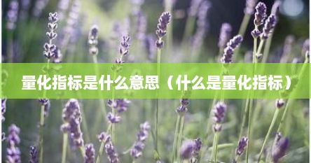 量化指标是什么意思（什么是量化指标）