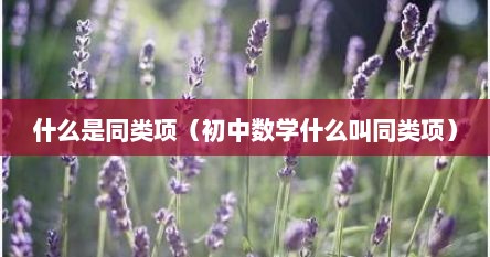 什么是同类项（初中数学什么叫同类项）