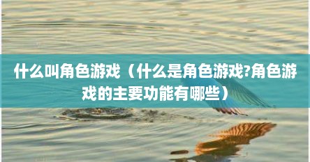 什么叫角色游戏（什么是角色游戏?角色游戏的主要功能有哪些）