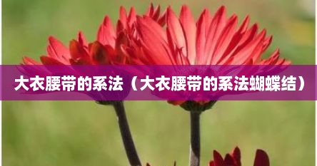 大衣腰带的系法（大衣腰带的系法蝴蝶结）