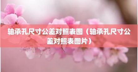 轴承孔尺寸公差对照表图（轴承孔尺寸公差对照表图片）