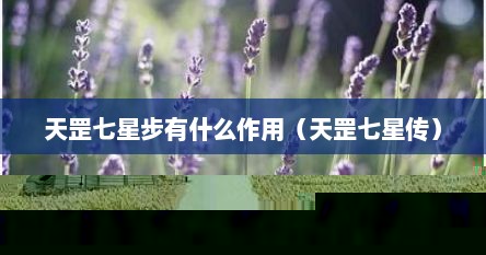 天罡七星步有什么作用（天罡七星传）