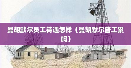曼胡默尔员工待遇怎样（曼胡默尔普工累吗）