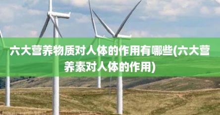 六大营养物质对人体的作用有哪些(六大营养素对人体的作用)