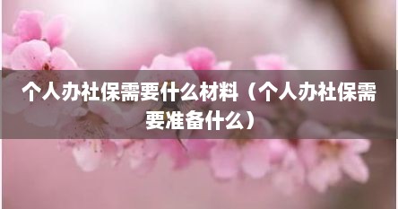 个人办社保需要什么材料（个人办社保需要准备什么）