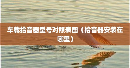 车载拾音器型号对照表图（拾音器安装在哪里）