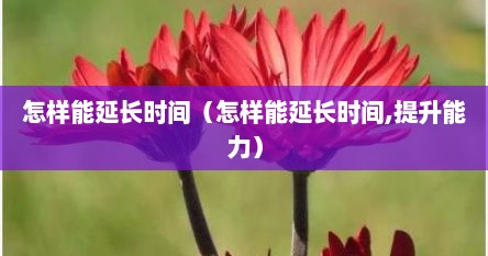 怎样能延长时间（怎样能延长时间,提升能力）