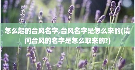 怎么起的台风名字,台风名字是怎么来的(请问台风的名字是怎么取来的?)