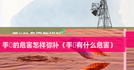 手滛的危害怎样弥补（手媱有什么危害）