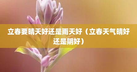 立春要晴天好还是雨天好（立春天气晴好还是阴好）